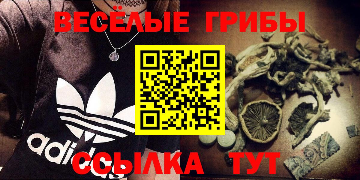 Галлюциногенные грибы Psilocybe Уварово